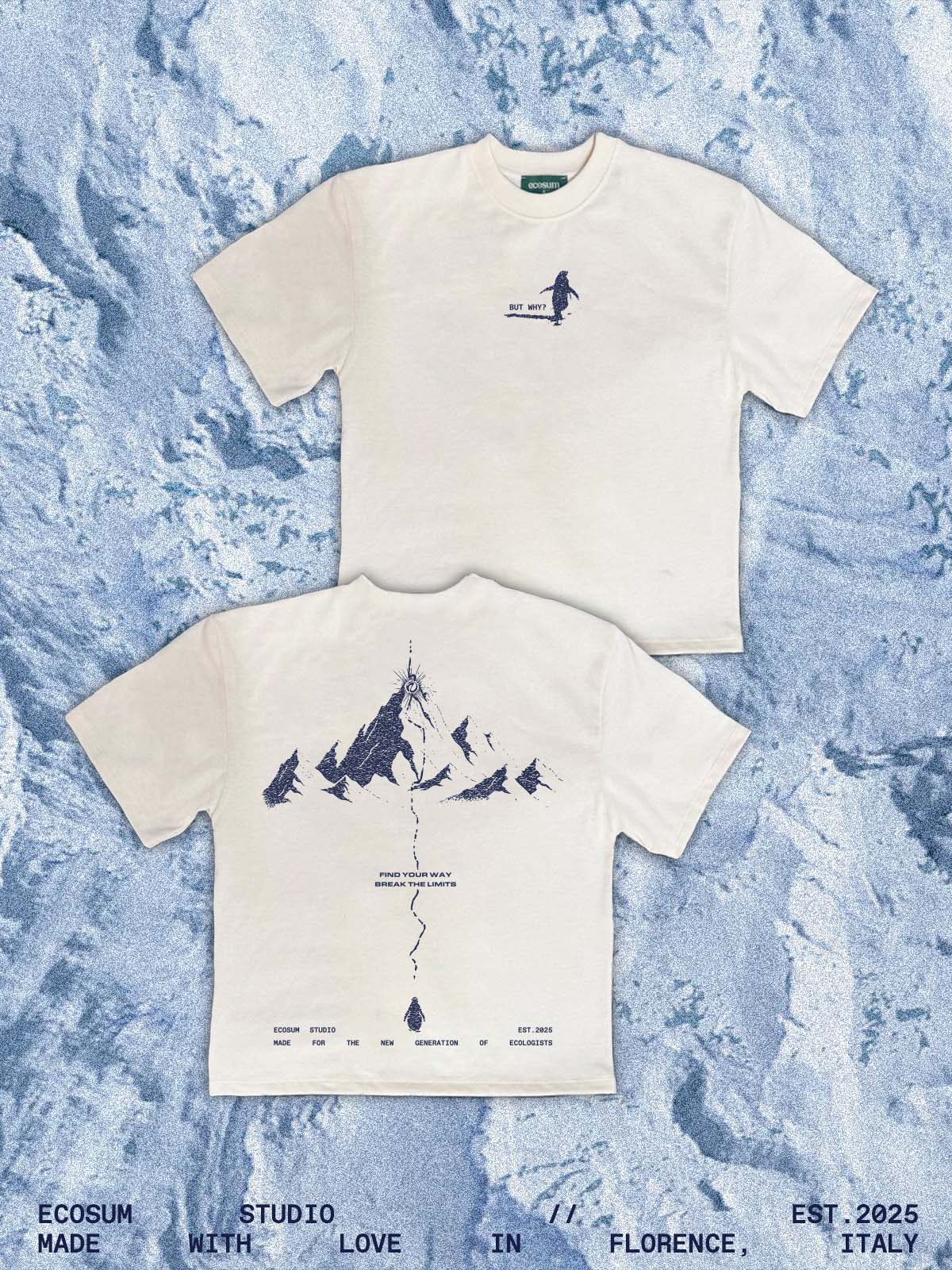 Penguin Escape Boxy Tee Natural