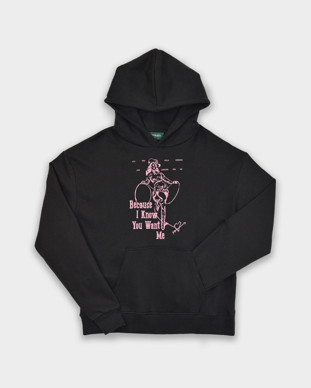 Wanted Hoodie Ash